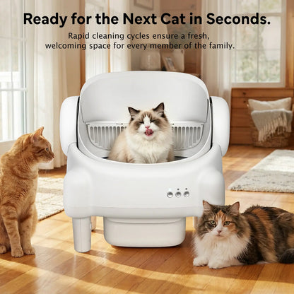 ECORUI Open-Top Self-Cleaning Cat Litter Box, Smart Automatic Box with Infrared & Gravity Sensors, 2.4G Wifi,Mother'S Day,Mother'S Gift, Mothersdaygift #Summervibes #Petlovers